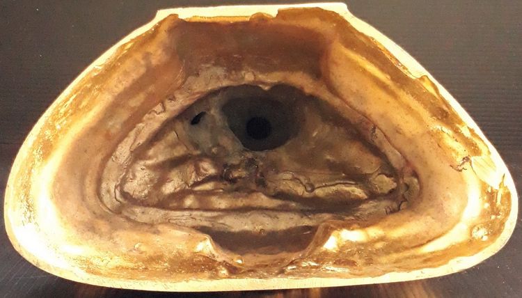 หลวงพ่อหัวตะพาน ญสส วัดหัวตะพาน ชัยนาท รูปที่ 7