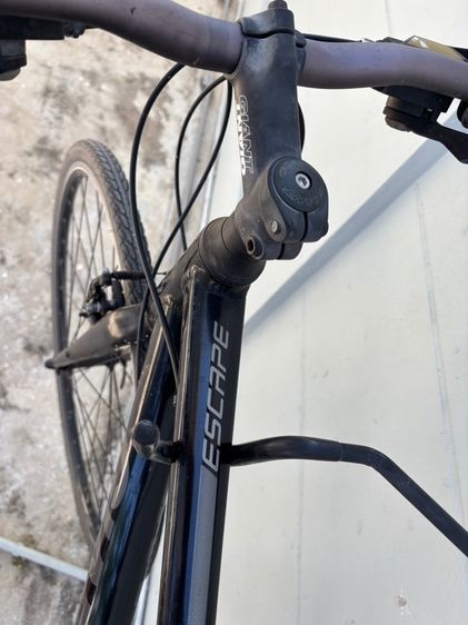 Giant Escape รูปที่ 5