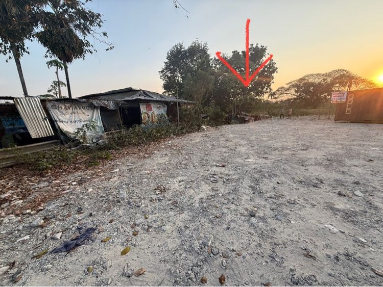 ใช่ ที่ดินใกล้วัดป่าเลย์ไล อ.ปากเกร็ด จ.นนทบุรี รูปที่ 3