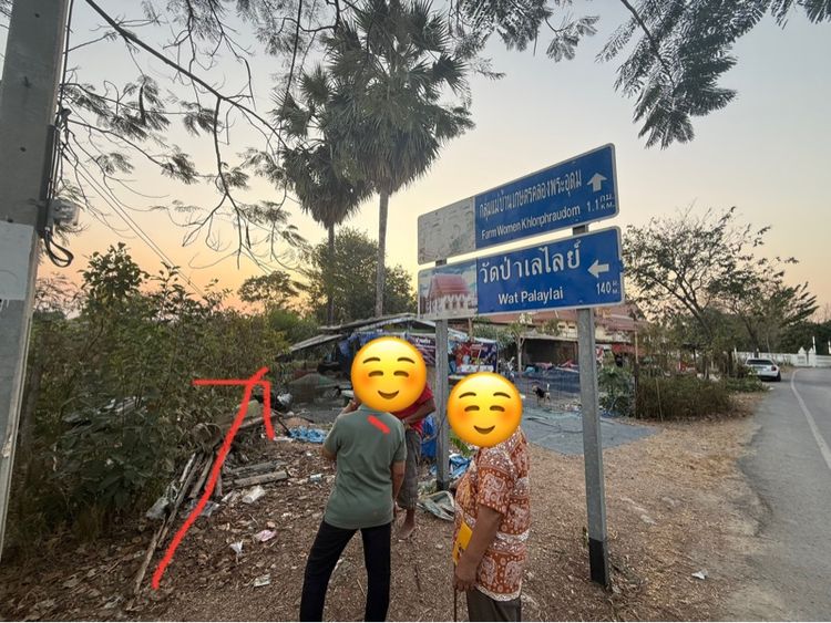 ใช่ ที่ดินใกล้วัดป่าเลย์ไล อ.ปากเกร็ด จ.นนทบุรี รูปที่ 4