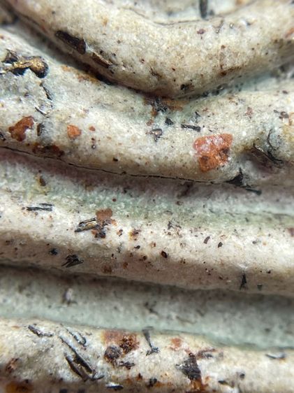 พระสมเด็จวัดระฆังพิมพ์ใหญ่หลังเทพกวนอู พุทธคุณสูงแม่เหล็กดูดติด รูปที่ 14