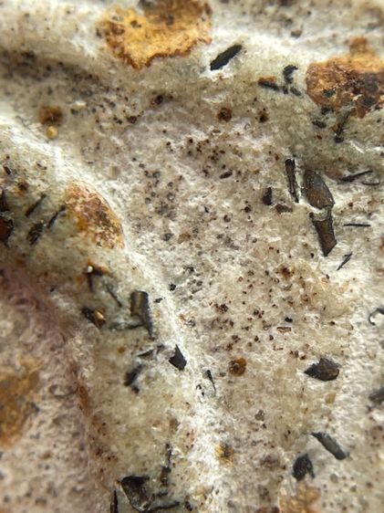 พระสมเด็จวัดระฆังพิมพ์ใหญ่หลังเทพกวนอู พุทธคุณสูงแม่เหล็กดูดติด รูปที่ 9