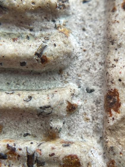 พระสมเด็จวัดระฆังพิมพ์ใหญ่หลังเทพกวนอู พุทธคุณสูงแม่เหล็กดูดติด รูปที่ 13