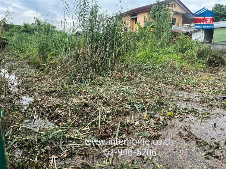 ที่ดินเปล่า 299 ตร.ว. ที่ดิน ซอยหมู่บ้านกาญจนลักษณ์3 ใกล้วัดศรีเรืองบุญ ถนนกาญจนาภิเษก ถนนนครอินทร์ บางกรวย นนทบุรี รูปที่ 3