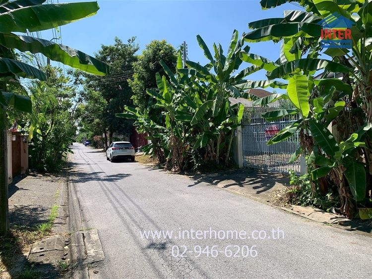 ที่ดิน + บ้านเดี่ยว 96 ตร.ว. ที่ดิน + บ้านเดี่ยว ซอยสุขาภิบาล5 ซอย64 ใกล้ รร.สารสาสน์วิเทศ สายไหม ถนนสุขาภิบาล5 ถนนสายไหม เขตบางเขน กรุงเทพ รูปที่ 3