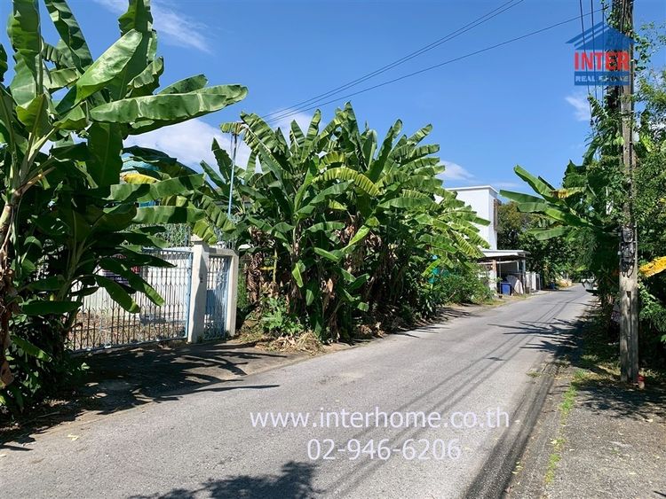 ที่ดิน + บ้านเดี่ยว 96 ตร.ว. ที่ดิน + บ้านเดี่ยว ซอยสุขาภิบาล5 ซอย64 ใกล้ รร.สารสาสน์วิเทศ สายไหม ถนนสุขาภิบาล5 ถนนสายไหม เขตบางเขน กรุงเทพ รูปที่ 4