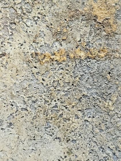 พระสมเด็จ รูปที่ 5