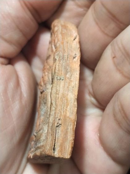 เก่าแวะมาดูครับ รูปที่ 3