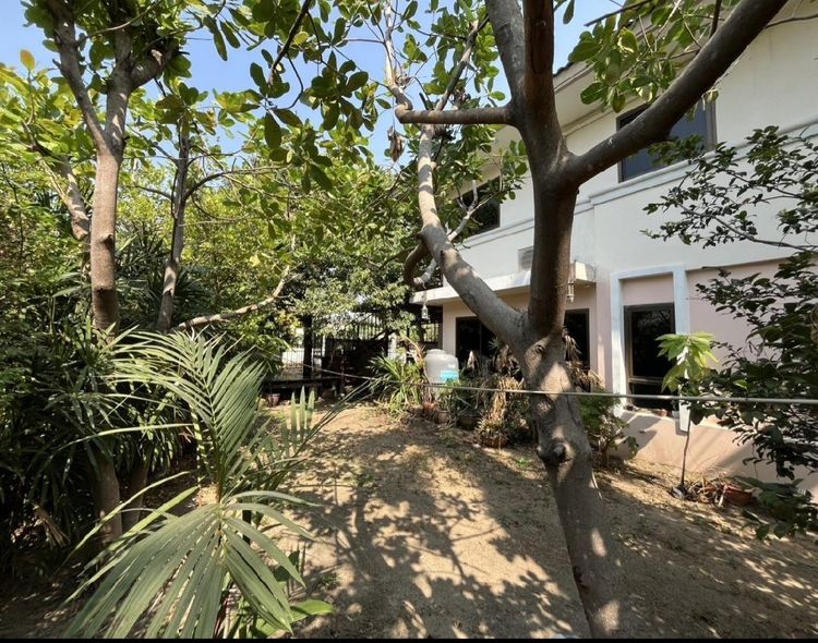 Supalai มีบางส่วน 2012 ขายบ้านเดี่ยว 2 ชั้น ศุภาลัย ออร์คิด ปาร์ค 2 บางแวก ภาษีเจริญ รูปที่ 3