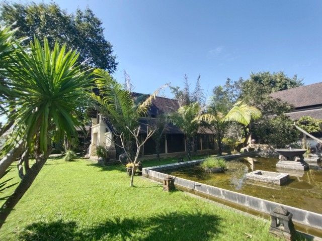 ขายกิจการที่บ้านถวาย เชียงใหม่ รูปที่ 4