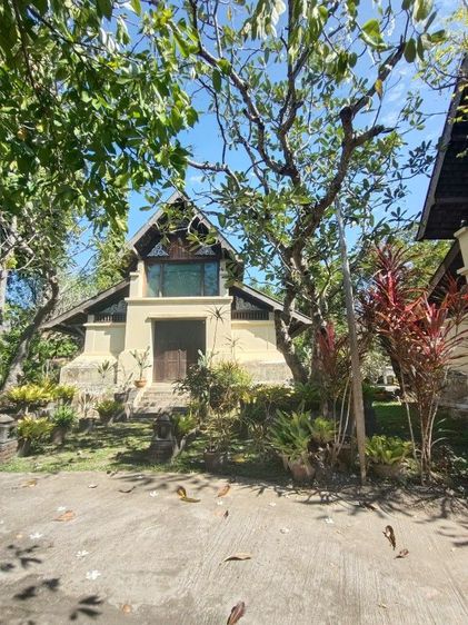 ขายกิจการที่บ้านถวาย เชียงใหม่ รูปที่ 3