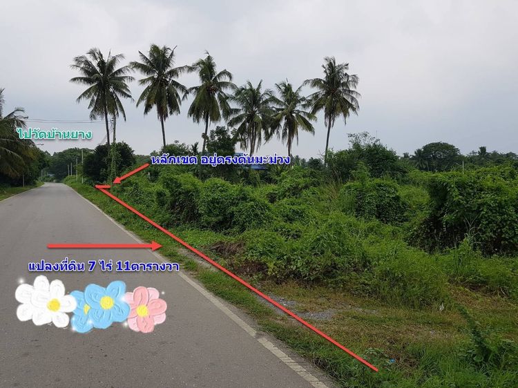 ที่ดินติดถนน ขายด่วน 7 ไร่ 57 ตรว. อ.บ้านโป่ง ราชบุรี เจ้าของขายเอง รูปที่ 4