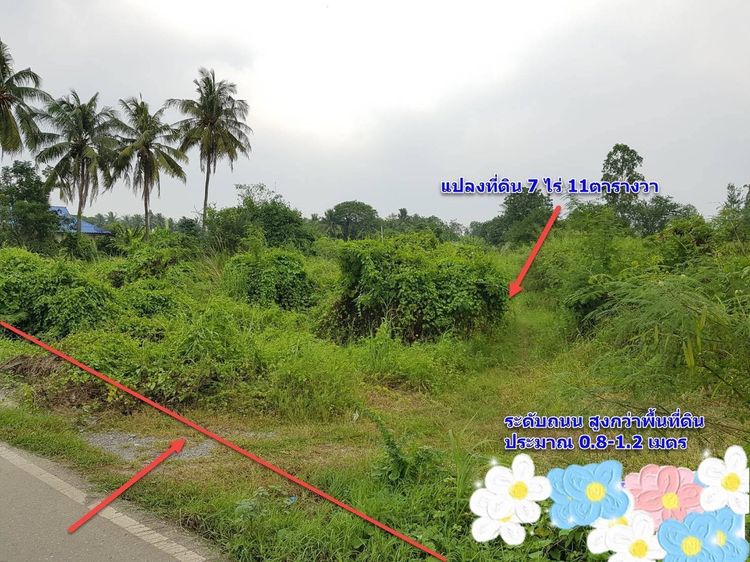 ที่ดินติดถนน ขายด่วน 7 ไร่ 57 ตรว. อ.บ้านโป่ง ราชบุรี เจ้าของขายเอง รูปที่ 3
