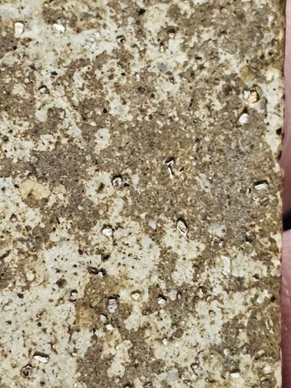 พระสมเด็จ รูปที่ 7