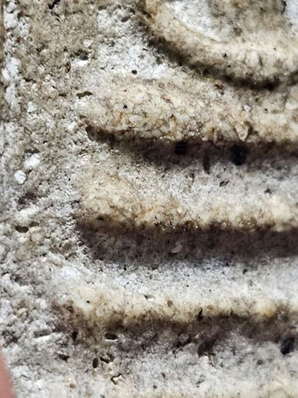 พระสมเด็จ รูปที่ 5