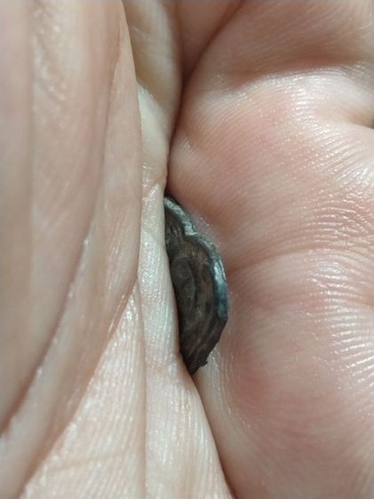 เก่าแวะมาดูครับ รูปที่ 3