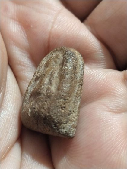 เก่าแวะมาดูครับ รูปที่ 3