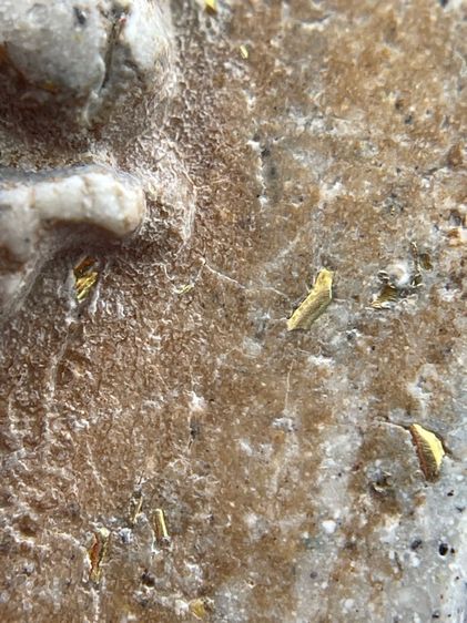 พระสมเด็จวัดระฆังพิมพ์ใหญ่กรอบกระจกโรยผงตะไบทอง หลัง ครุฑนูน รูปที่ 9