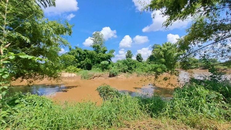 ไม่ใช่ ขายสวนลำไยติดแม่น้ำลี้ ติดถนนคอนกรีต บ้านวังสะแกง อ.เวียงหนองล่อง จ.ลำพูน