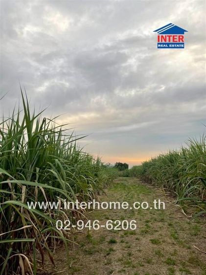 ที่ดินเปล่า 4 ไร่ 49.1 ตร.ว. ที่ดินเปล่า ซอยเปาอินทร์ ซอย5 ถนนกาญจนาภิเษก345 ถนนซอยเปาอินทร์ ปากเกร็ด นนทบุรี รูปที่ 3