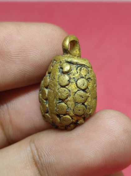 พญาเต่าเรือน รูปที่ 2