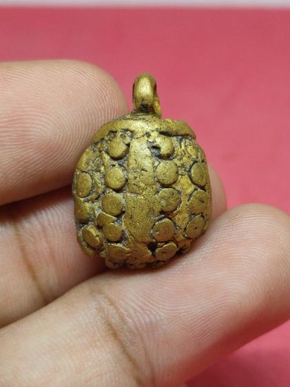 พญาเต่าเรือน