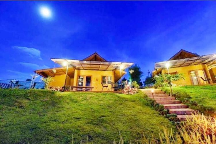 ขายที่ดิน เขาค้อ จ.เพชรบูรณ์ 27 ไร่    โฉนดครุฑแดง รูปที่ 3