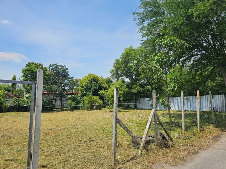 ขายที่ดินแปลงสวย ถมแล้ว ขนาด 196 ตร.วา เข้าซอย หทัยราษฎร์ 23-1 เพียง 500 ม. ใกล้ทางด่วน - ถนนวงแหวน - MRT มีนบุรี รูปที่ 3