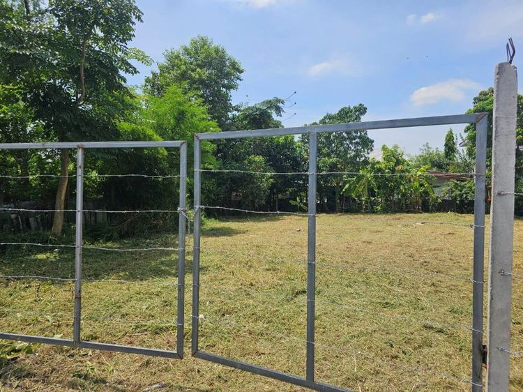 ขายที่ดินแปลงสวย ถมแล้ว ขนาด 196 ตร.วา เข้าซอย หทัยราษฎร์ 23-1 เพียง 500 ม. ใกล้ทางด่วน - ถนนวงแหวน - MRT มีนบุรี รูปที่ 4