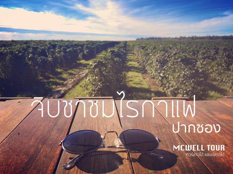 ทัวร์ลาวใต้ แลนด์ลาวใต้ ทัวร์ลาวใต้เริ่มจากอุบลราชธานี เดินทางกับคนพื้นที่มืออาชีพ สนุก คุ้มค่าแน่นอนครับ รูปที่ 9