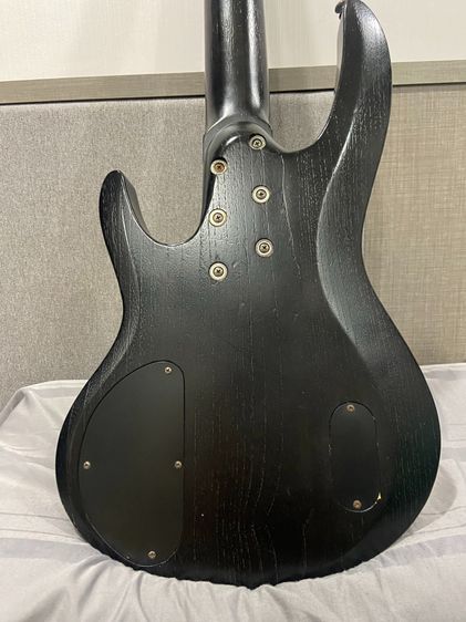 เบสไฟฟ้า LTD B-335 (By ESP) รูปที่ 5