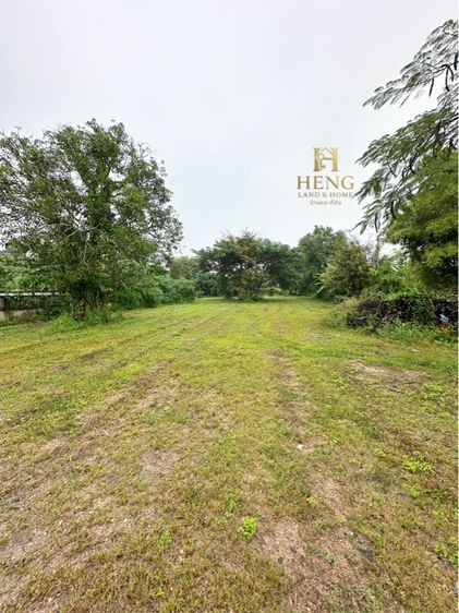 ที่ดินติดถนน แม่สรวย-ฝาง ทำเลดี รูปที่ 3