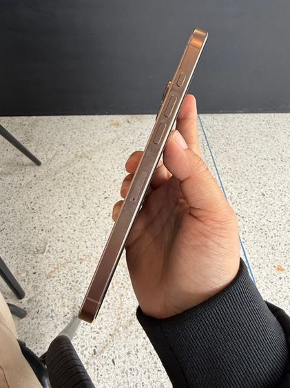 iPhone 16 pro max 256 gb desert titanium ประกัน มีนา 69 รูปที่ 3