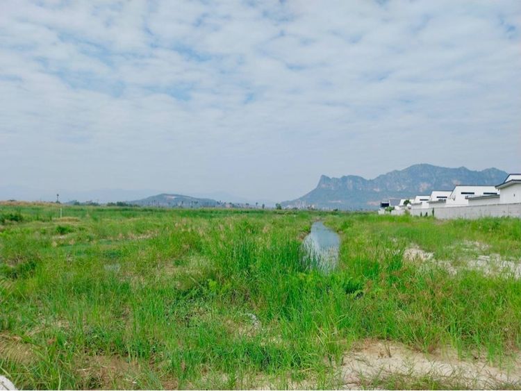 ใช่ ขายต่ำกว่าราคาประเมิน ที่ดิน วิวภูเขา ใกล้ทะเลชะอำ  เนื้อทึ่ 16-1-84 ไร่ ถนนเพชรเกษม ตำบลชะอำ อำเภอชะอำ จังหวัดเพชรบุรี รูปที่ 3