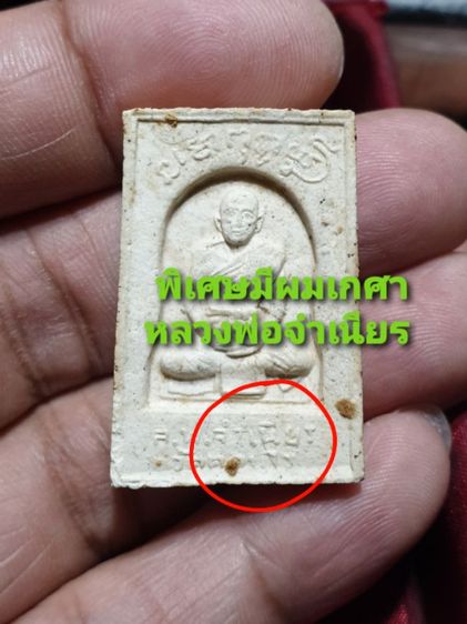 พระสมเด็จพิมพ์พระพุทธฝังตะกรุด 3 กษัตริย์ หลังรูปเหมือนหลวงพ่อจำเนียร วัดดอนไร่ จังหวัดสุพรรณบุรี

ศิษย์หลวงพ่อมุ่ยวัดดอนไร่ หายากแล้ว  รูปที่ 2