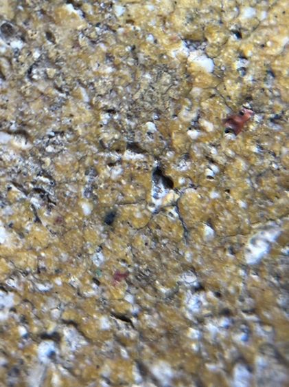 พระสมเด็จวัดระฆังพิมพ์ใหญ่ตัดขอบชิด เนื้อหามวลสารองค์ครู รูปที่ 17