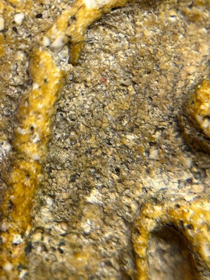 พระสมเด็จวัดระฆังพิมพ์ใหญ่ตัดขอบชิด เนื้อหามวลสารองค์ครู รูปที่ 5