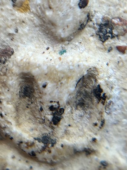 พระสมเด็จวัดระฆังพิมพ์ใหญ่ เนื้อเก่าสวยสมอายุพระ(015) รูปที่ 12