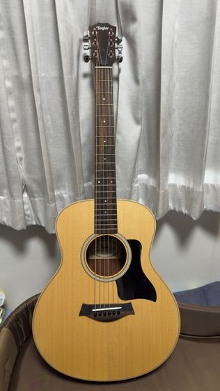 Taylor GS mini