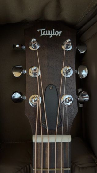 Taylor GS mini รูปที่ 2