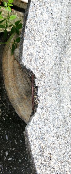 เก้าอี้ม้าหิน..โบราณ รูปที่ 8