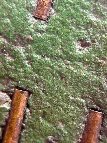 พระสมเด็จพิมพ์ปรกโพธิ์อกครุฑ เนื้อสีเขียวหลังฝังตะกรุด 9  ดอก พุทธคุณสูงแม่เหล็กดูดติด(020) รูปที่ 11