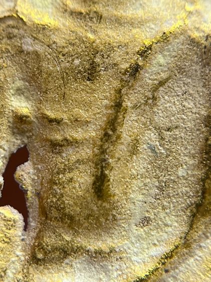 พระปรุหนังเนื้อโลหะชุบทองดอกบัว กรุวัดพระแก้ววังหน้า(082) รูปที่ 12