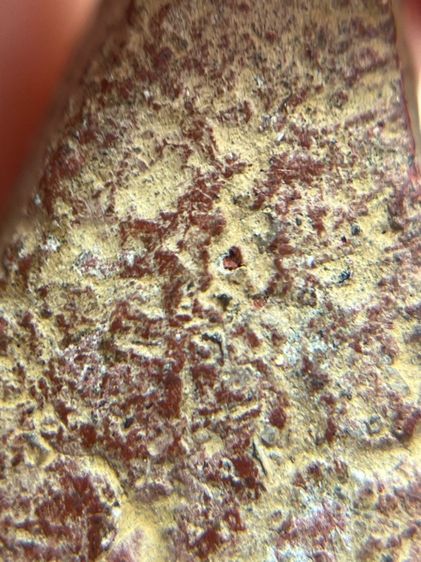 พระสมเด็จนางพญาเนื้อสีแดงพิมพ์เขาโค้ง(079) รูปที่ 13