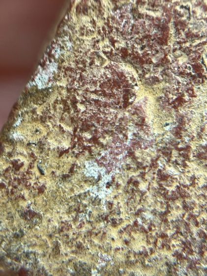 พระสมเด็จนางพญาเนื้อสีแดงพิมพ์เขาโค้ง(079) รูปที่ 14