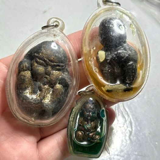 กุมาsnoง​ดูdsก​ ตนใหญ่ไม่รู้ที่มา