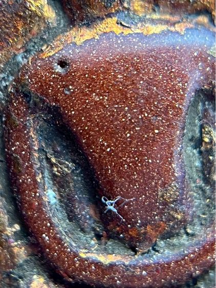 พระสมเด็จพิมพ์ แหวกม่าน เนื้อทรายทองหินแห่งความร่ำรวยโดยเชื่อว่าช่วยดึงดูดโชคลาภ เงินทอง และความเจริญรุ่งเรือง ความมั่งคั่ง รูปที่ 8