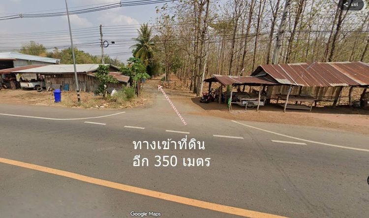 ขายที่ดิน 40 ไร่ ต.ตะกุดไร อ.ชนแดน ไร่ละ 85,000 บาท รูปที่ 3
