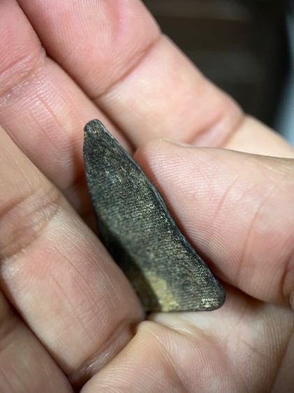 พระกำแพงพิษณุโลก รูปที่ 3