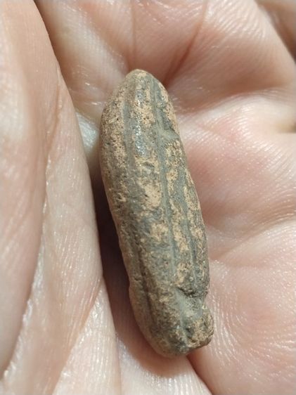 เก่าแวะมาดูครับ รูปที่ 3